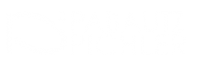 P-Quadrat Logo 2019 weiß
